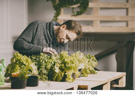 Handsome grower is checking and taking care of plants indoor.