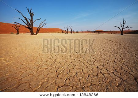 Valle morta in Namibia