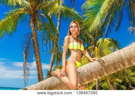 Young beautiful girl in bikini on the palm tree on a tropical beach. Sky and sea in the background. Summer vacation concept.