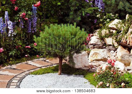 Background of garden design. Landscaping in park with road, shorn trees and lawn