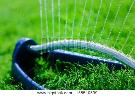 Lawn sprinkler spaying water over green grass. Motion blur. Select focus.