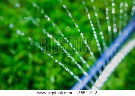 Lawn sprinkler spaying water over green grass. Motion blur. Select focus.