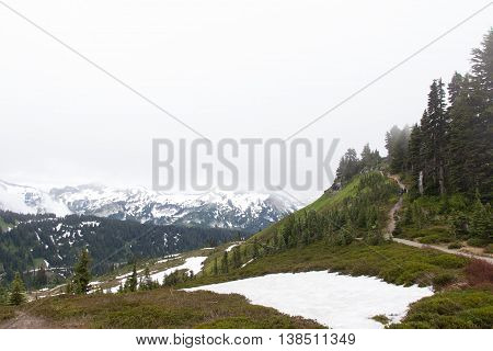 Skyline Trail at Mt Rainier National Park, Washington