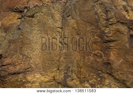 Petroglyphs on the stone in Tamgaly Kazakhstan
