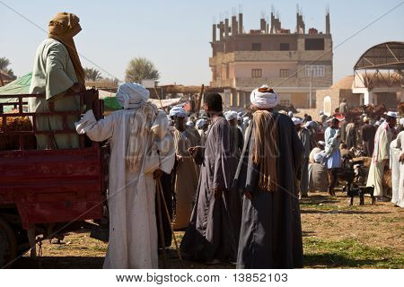DARÁU, EGYPT - Prosinec 29: Arabské lidé jsou vyjednávání na týdenní trh velblouda a dobytek na prosinec