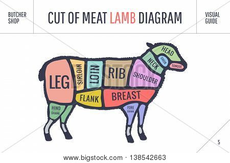 Cut of beef set. Poster Butcher diagram and scheme - Lamb. Colorful vintage typographic hand-drawn on white background for butcher shop. Vector illustration