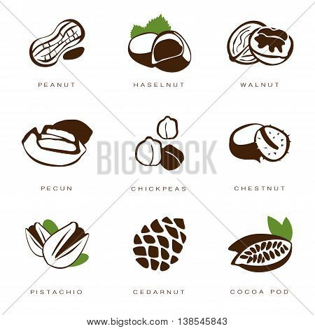 Web icons collection nuts, beans and seed