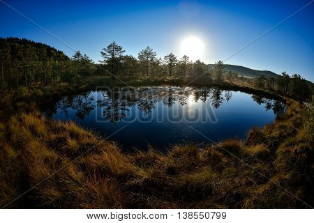 image from Tinovul Mohos - a volcano, botanical reservation with various rare plants next to Sf. Ana Lake, Romania