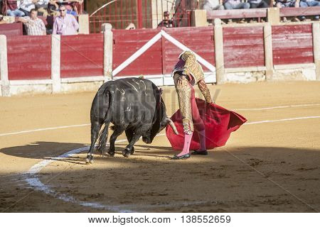 Ubeda Spain - September 29 2010: The Spanish Bullfighter Curro Diaz bullfighting with the crutch in the Bullring of Ubeda Spain