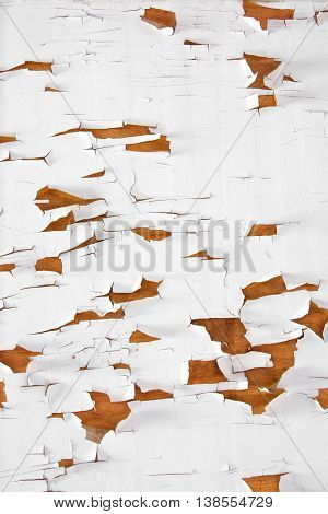 Grunge wall with cracks and peeling paint in old house. White textured background