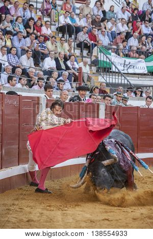 Pozoblanco Spain - September 24 2010: The Spanish Bullfighter Juan Jose Padilla bullfighting with the crutch in the Bullring of Pozoblanco Spain