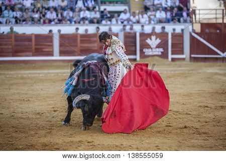 Pozoblanco Spain - September 24 2010: The Spanish Bullfighter Juan Jose Padilla bullfighting with the crutch in the Bullring of Pozoblanco Spain