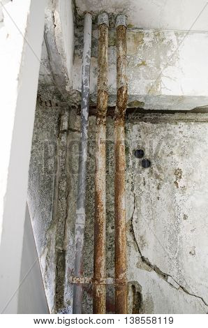 Fungal mold pipe unhygienic parasitic wall damage