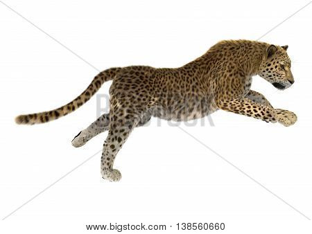 3D rendering of a big cat leopard isolated on white background