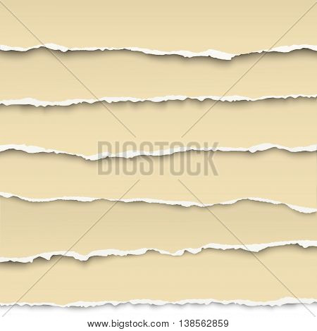 Oblong layers of torn yellow pieces of papers placed one over another