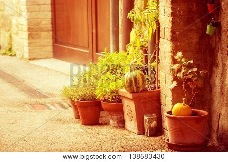 Empty street of small Tuscany town San Quirico d'Orcia in the morning fog with halloween pumpkin decorations. Romantic travel vintage hipster european italy background