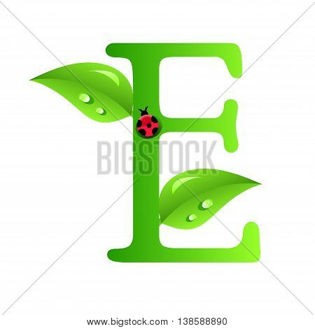 E