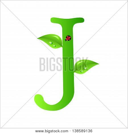 J