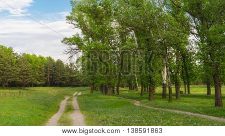Seasonal landscape in central Ukraine near Kremenchuk town