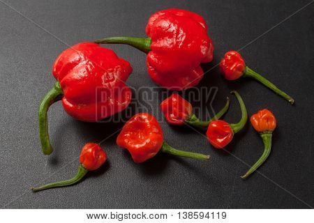 Red Chili Peppers