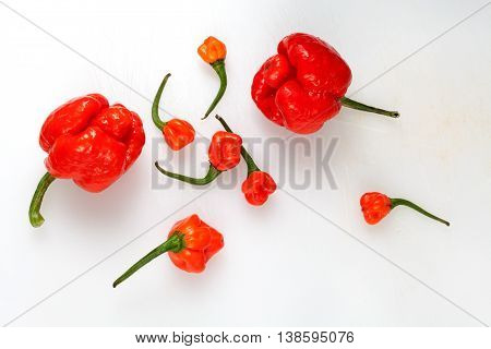 Red Chili Peppers