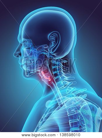 3D illustration of Epiglottis - Part of Human Organic.