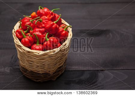 Trinidad Moruga Scorpion Peppers