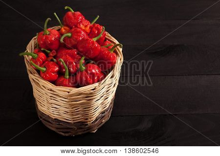 Trinidad Moruga Scorpion Peppers