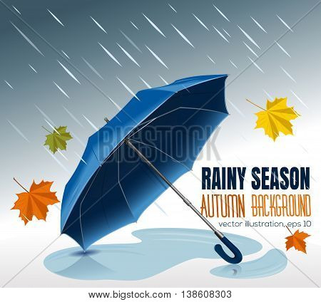 Blue Umbrella. Rainy season. Vector autumn background