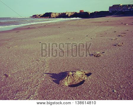 footsteps in the sand of a beach