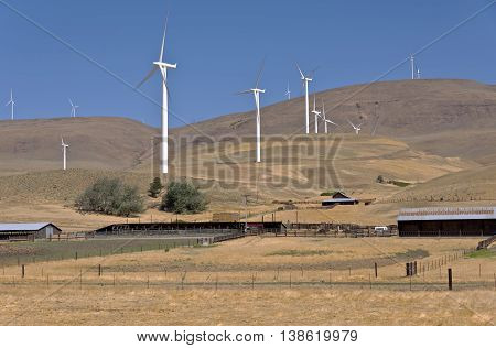 Wind eneregy generated by large blades spinning on a hill in Washngton state.