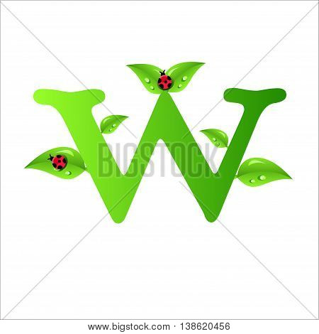W
