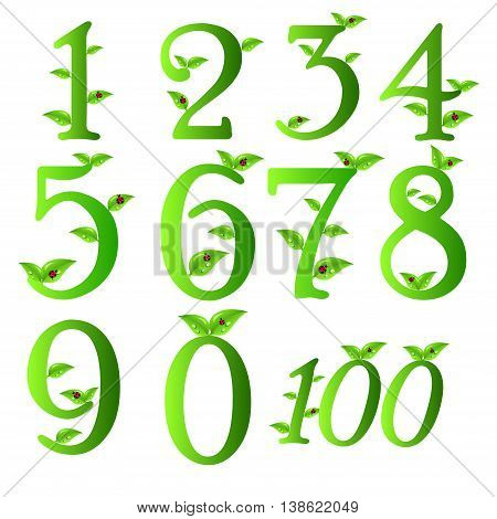 Numbers of green leaves with Ladybug Collection