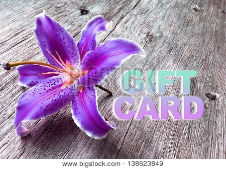 purple liliy flower on wooden background with word Gift Card