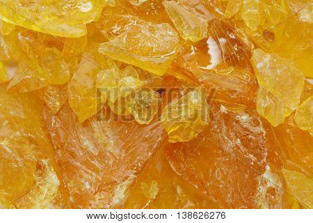 Organic Indian cluster pine (Pinus pinaster). Macro close up background texture. Top view.