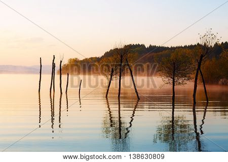 beautiful lake with mountains in the background at sunrise. Trees in water and morning fog
