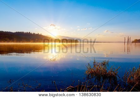 detail of grass halm at a lake in magical morning time with dawning sun