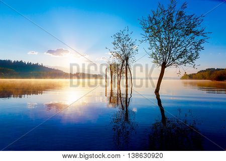 beautiful lake view in morning fog with mystic mountains and trees as leftovers of a mole in gold, purple - blue tones. Slovakia Liptovska Mara, in region Liptov