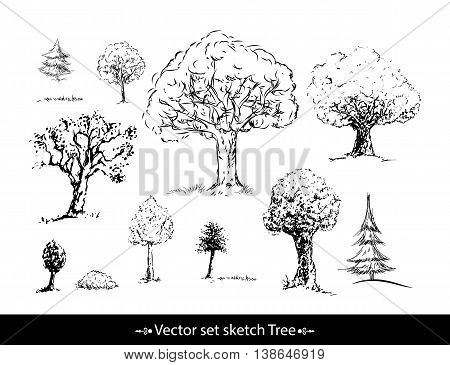 Vector Set Sketch Tree