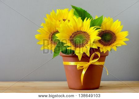 Thanksgiving or autum season greeting concept with sunflowers in a pot on a wooden table
