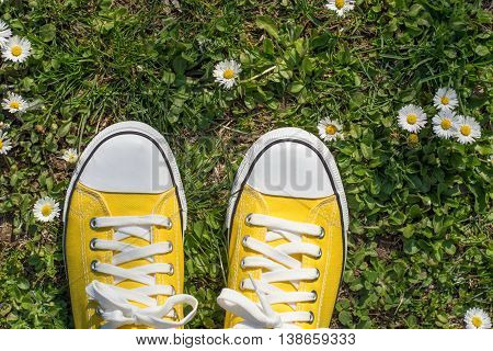 Yellow Sneakers In A Dasiy Field