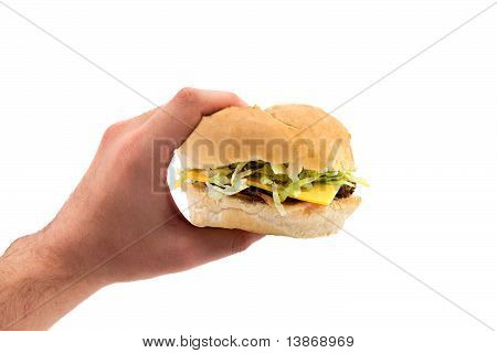 Hånd, der holder Tyrkiet Sandwich