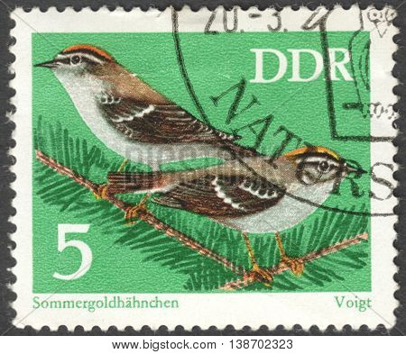 MOSCOW RUSSIA - CIRCA JANUARY 2016: a post stamp printed in DDR shows birdrs "Regulus ignicapillus" the series "Protected Songbirds" circa 1973