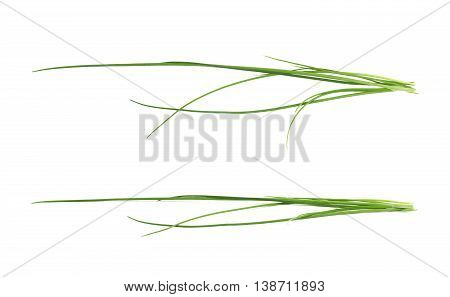 Green onion scallions isolated over the white background, set of two different foreshortenings