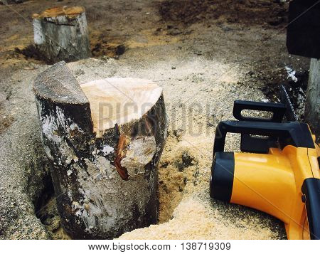 sawn off saw a log sticking out of the ground in the sawdust