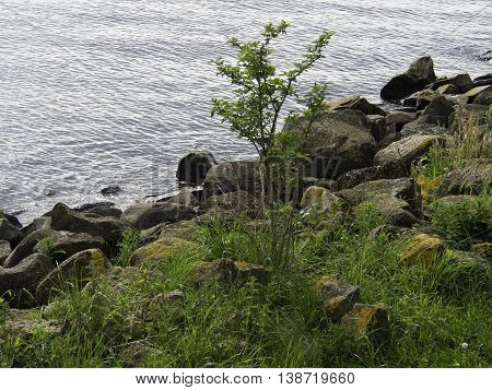 the small village of urk in holland