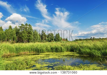 Summer landscape with river and with unusual clouds in the blue sky
