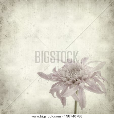 Textured Old Paper Background