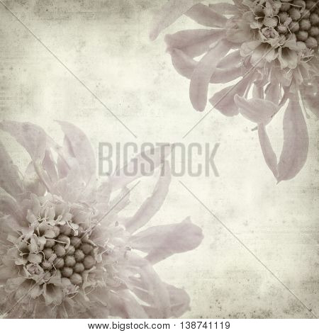 Textured Old Paper Background