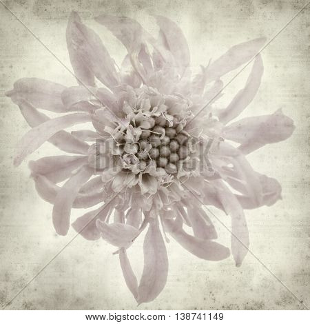 Textured Old Paper Background